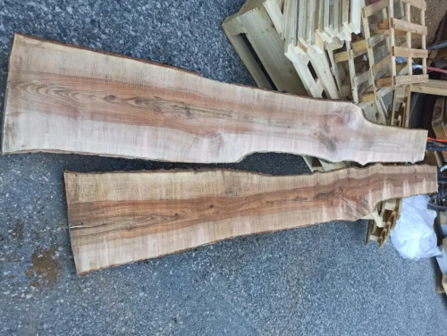 Draufsicht auf zwei frisch geschnittene, parallel nebeneinander liegende Massivholz-Pfosten auf grauem Asphaltboden. Das Holz zeigt eine markante, kontrastreiche Maserung mit dunklem Kern und hellem Splintholz.